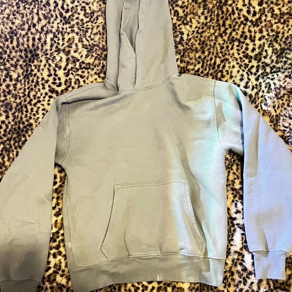 sage green aritzia cozy fleece perfect hoodie